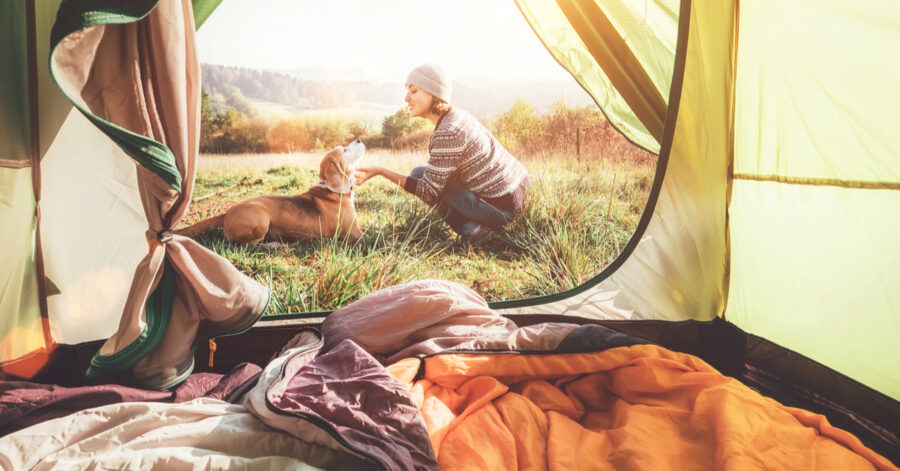 Best Tent for Camping With Dogs