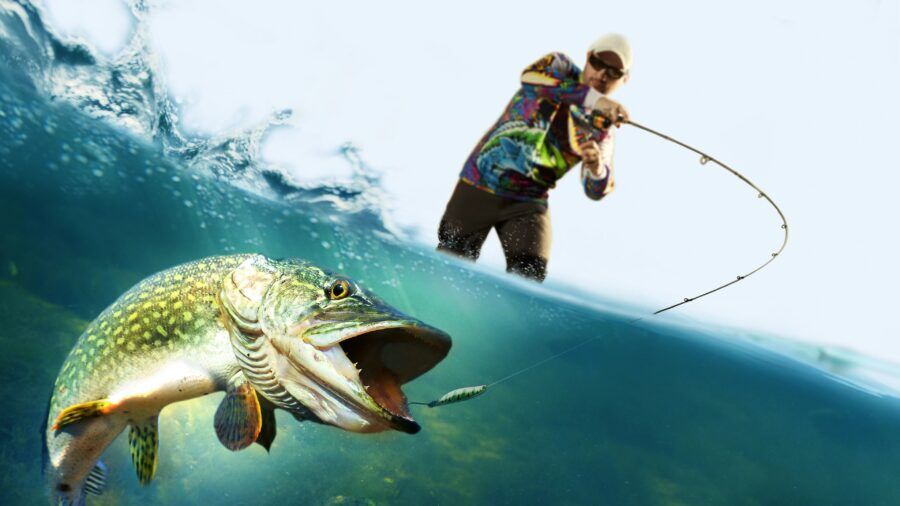 Fishing Rules Which You Must Know